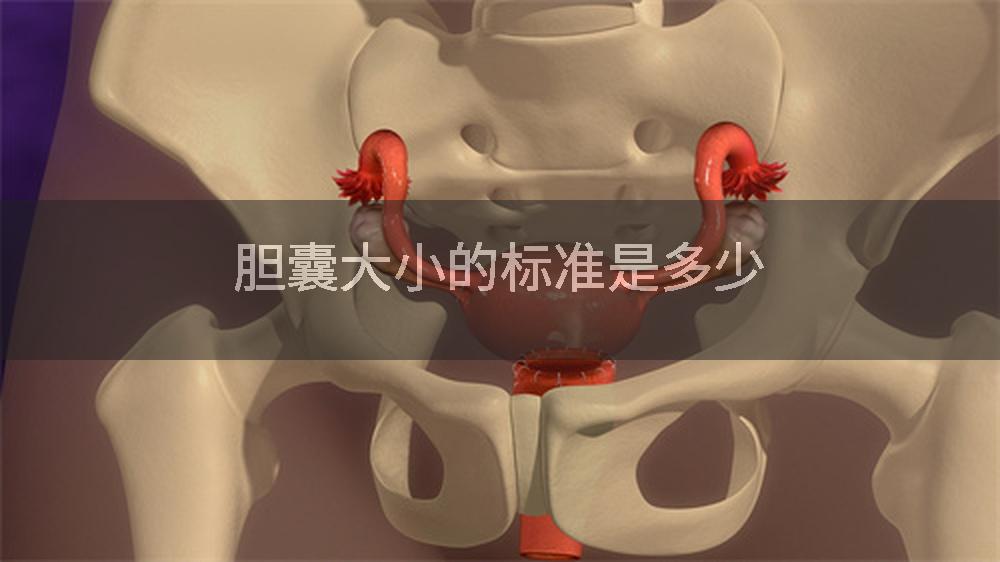 胆囊大小的标准是多少