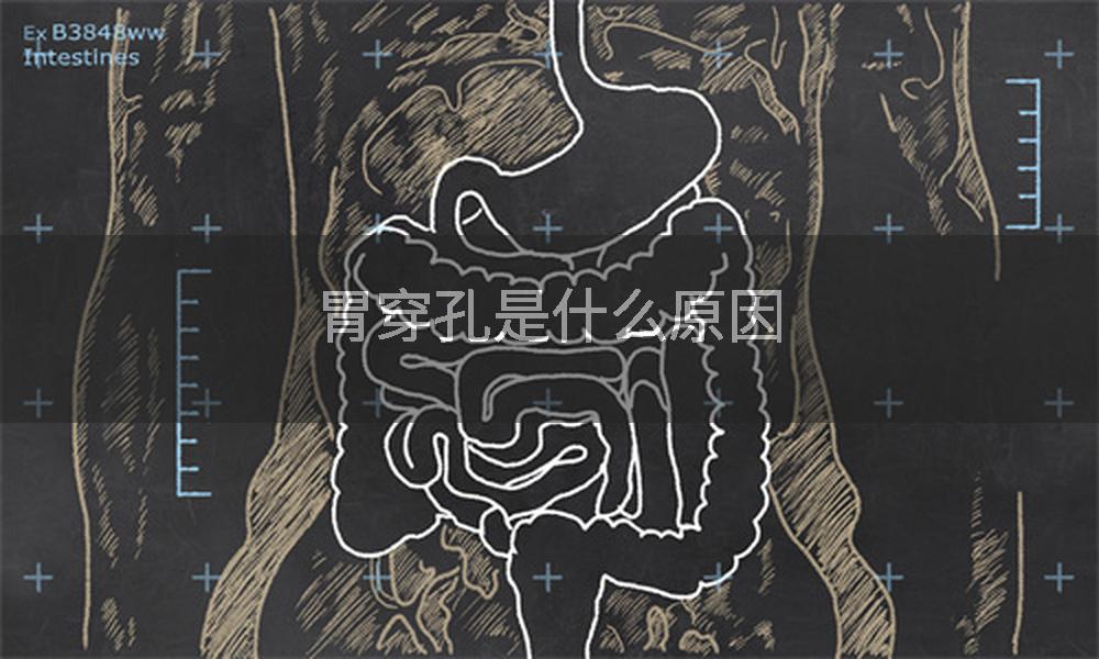 胃穿孔是什么原因