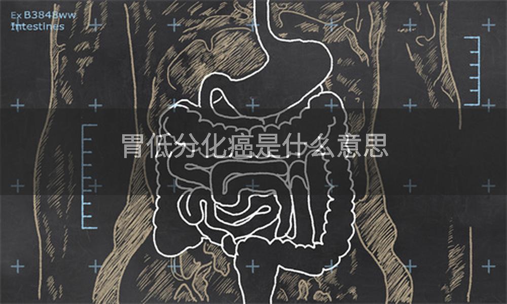胃低分化癌是什么意思