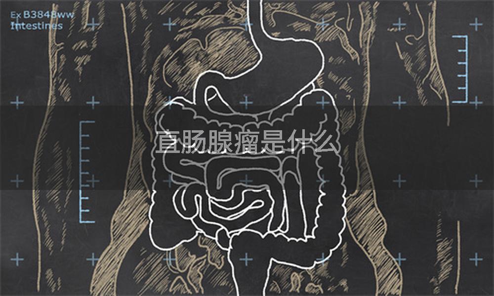 直肠腺瘤是什么