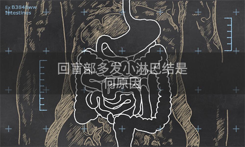 回盲部多发小淋巴结是何原因