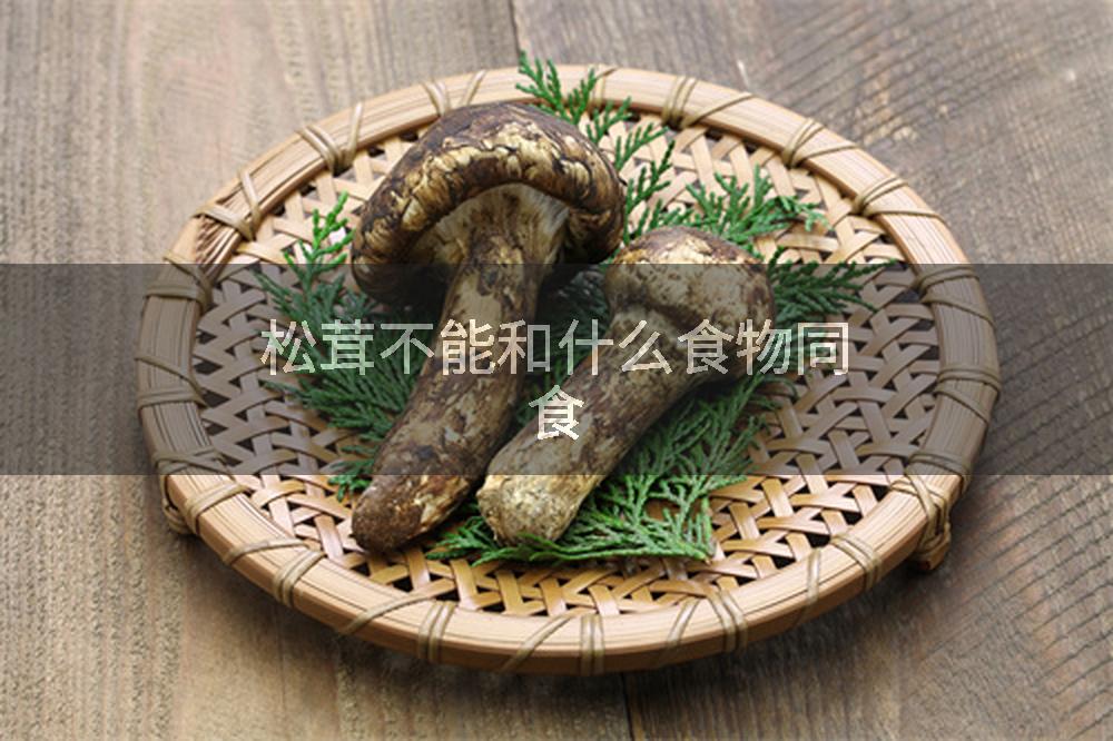 松茸不能和什么食物同食