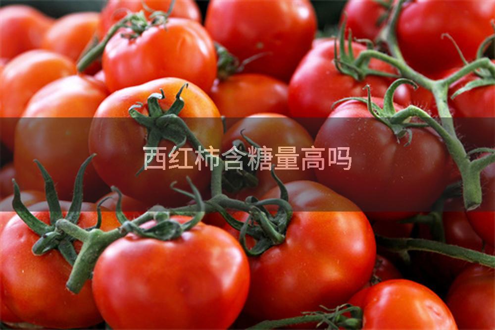 西红柿含糖量高吗