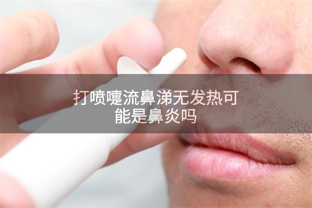 打喷嚏流鼻涕无发热可能是鼻炎吗