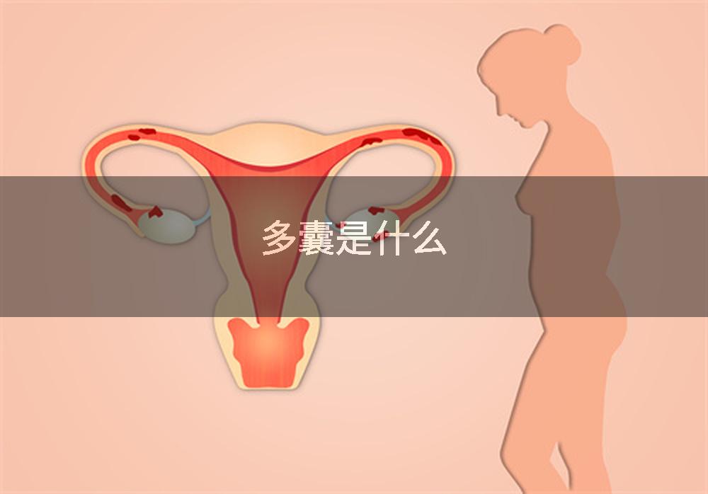 多囊是什么