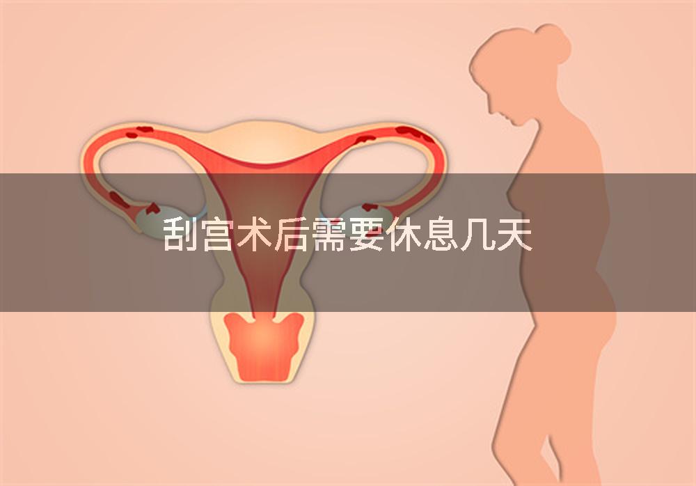 刮宫术后需要休息几天