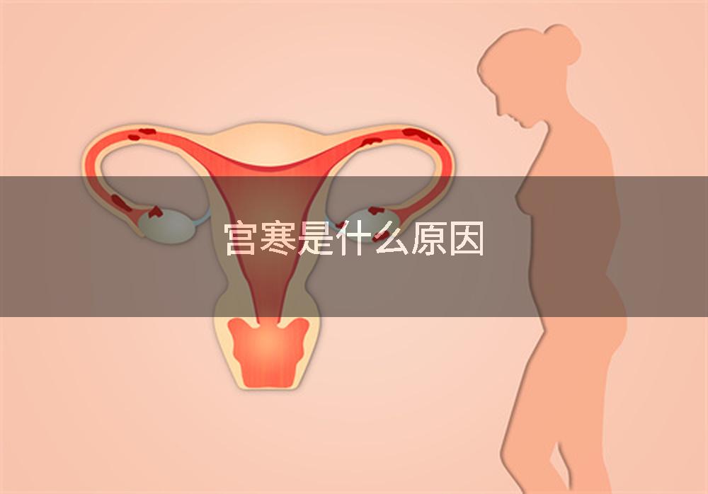 宫寒是什么原因