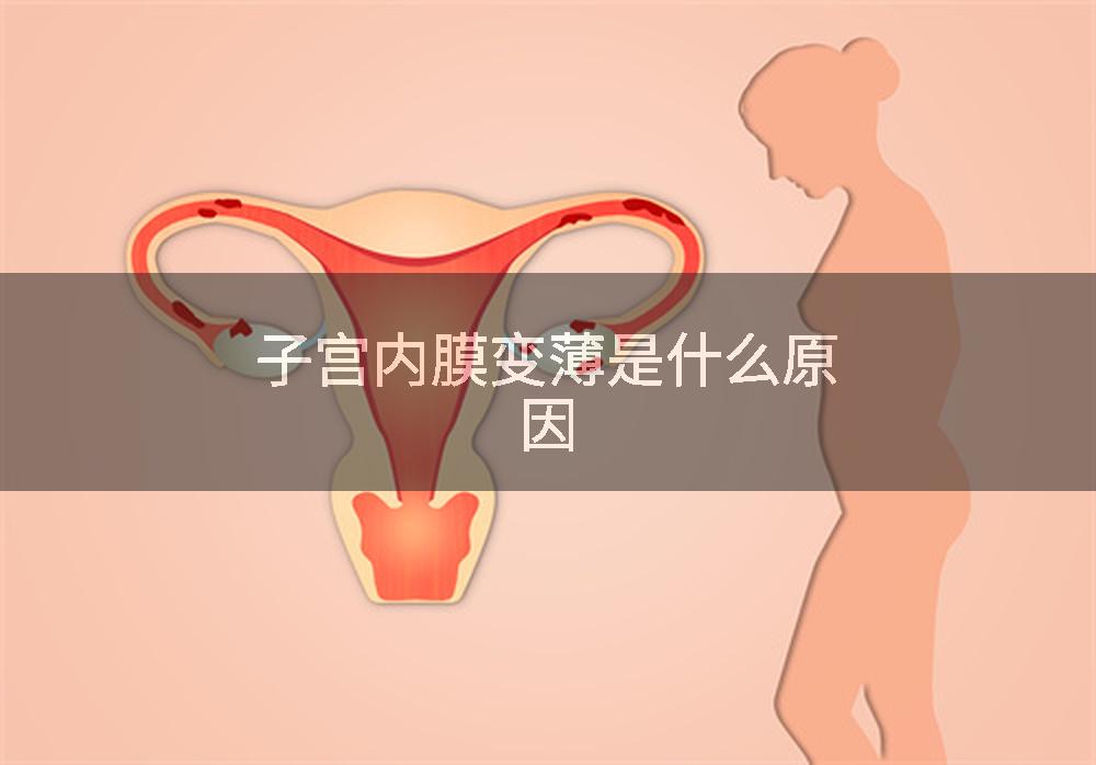 子宫内膜变薄是什么原因