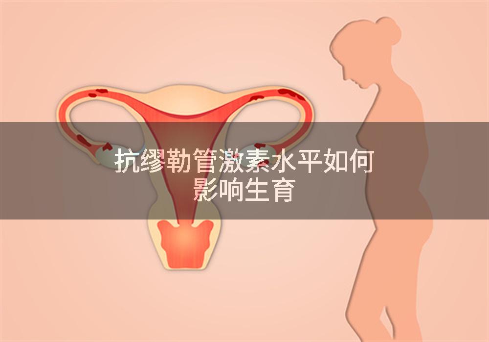 抗缪勒管激素水平如何影响生育