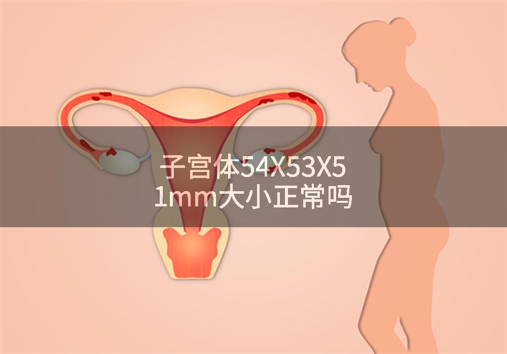 子宫体54X53X51mm大小正常吗