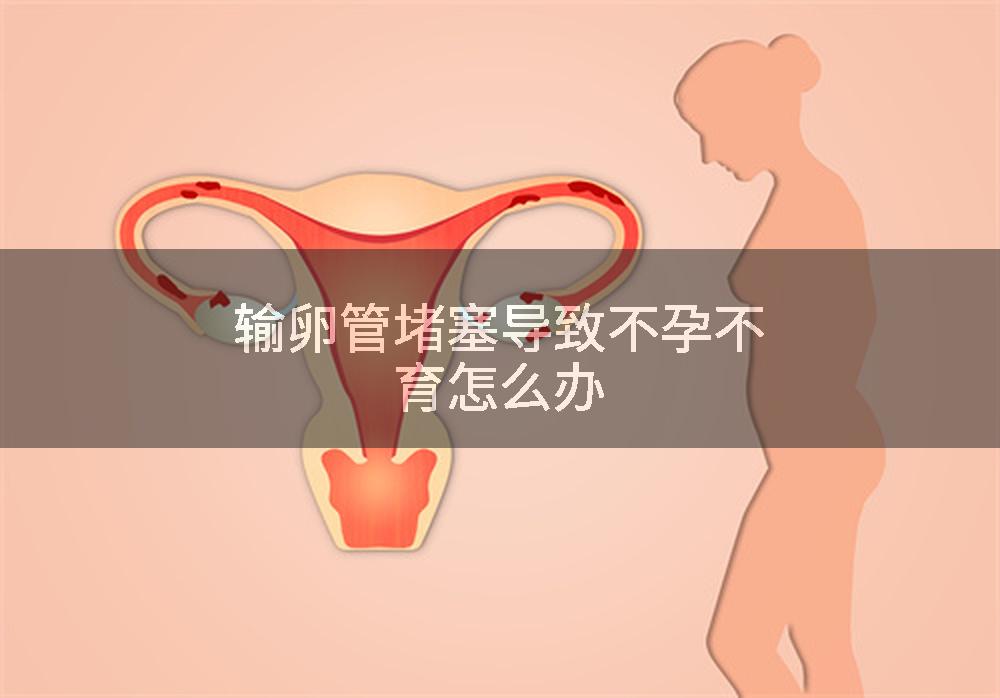 输卵管堵塞导致不孕不育怎么办