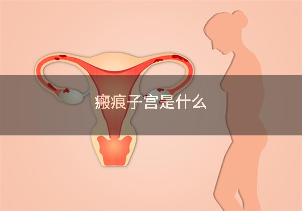 瘢痕子宫是什么