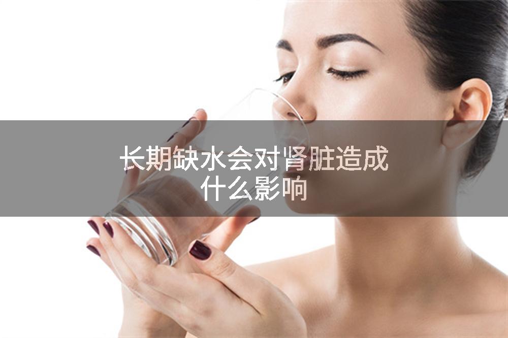 长期缺水会对肾脏造成什么影响
