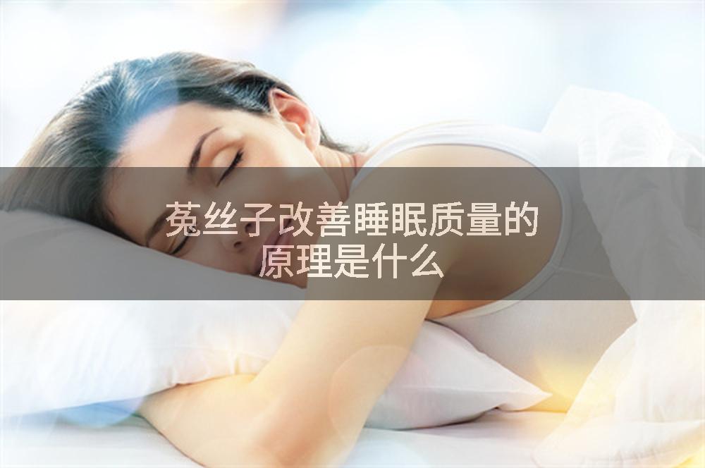 菟丝子改善睡眠质量的原理是什么