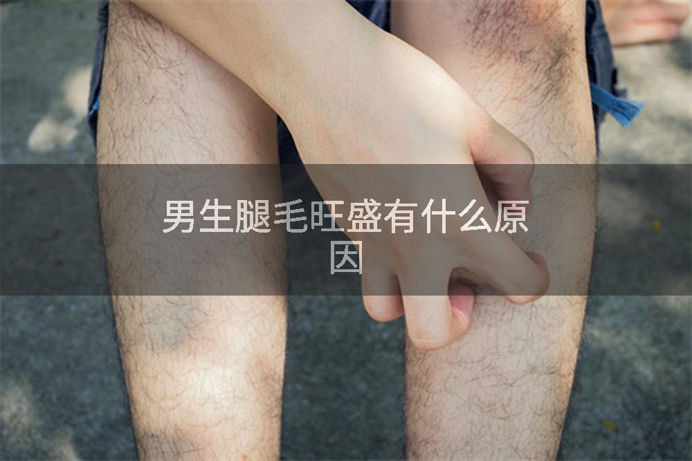 男生腿毛旺盛有什么原因