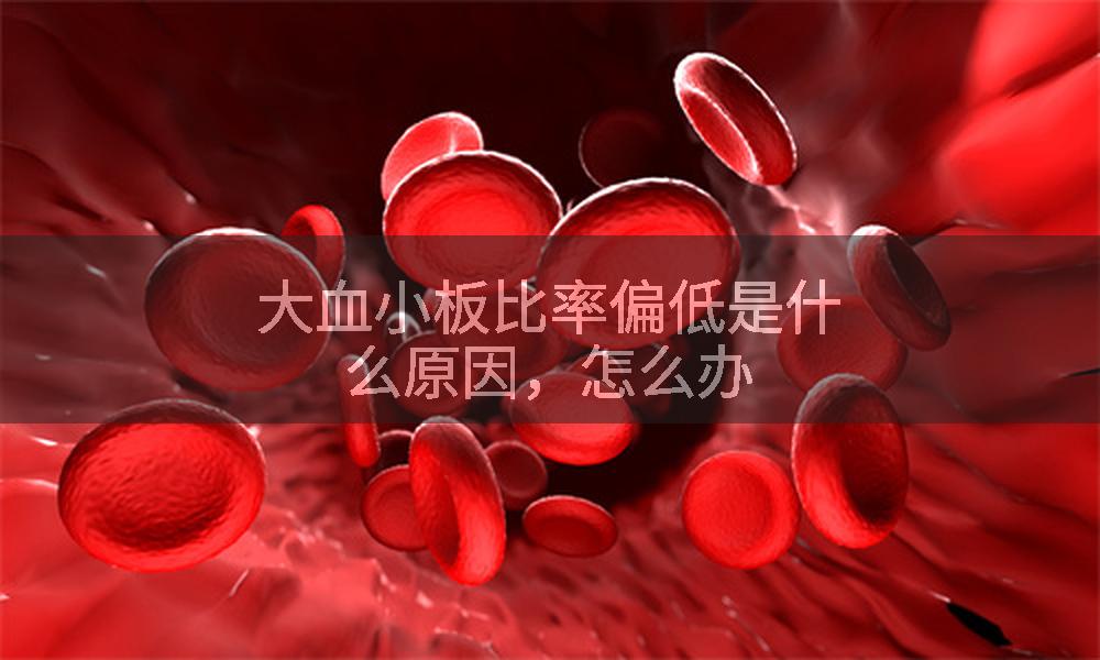 大血小板比率偏低是什么原因，怎么办