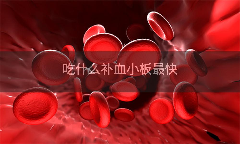 吃什么补血小板最快