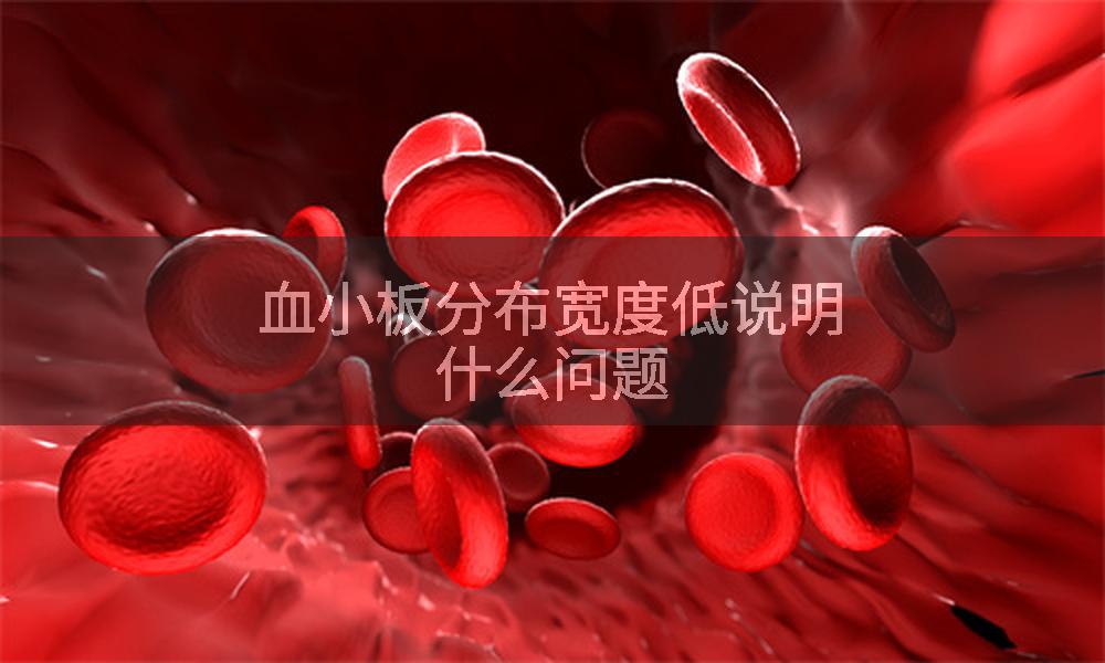 血小板分布宽度低说明什么问题