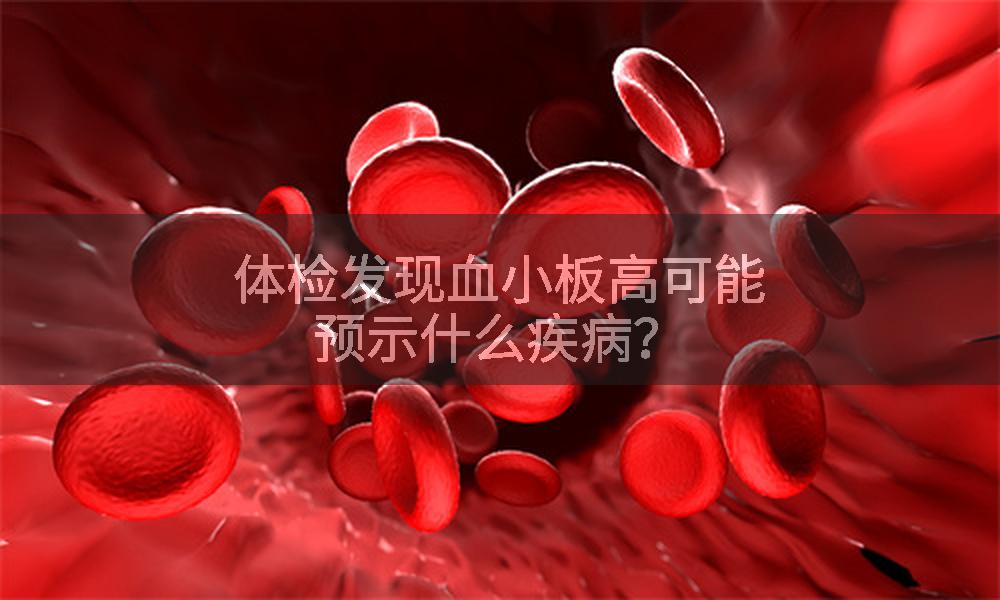 体检发现血小板高可能预示什么疾病？