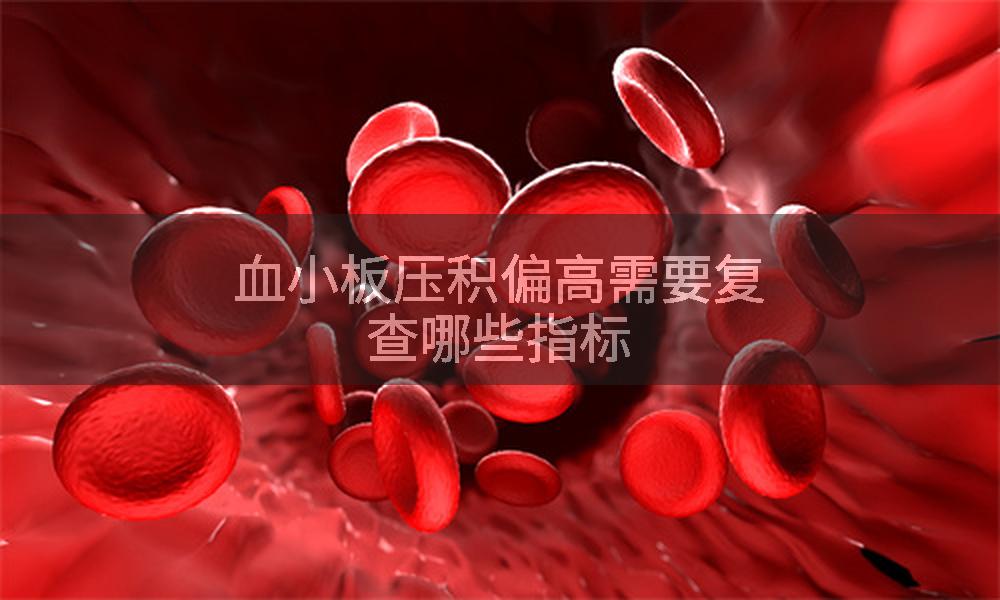 血小板压积偏高需要复查哪些指标