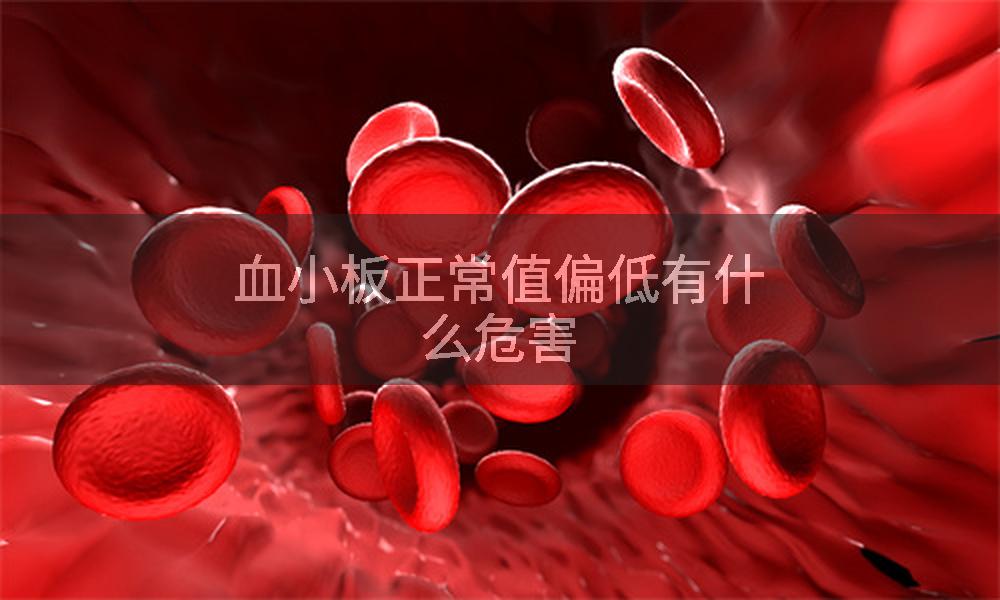 血小板正常值偏低有什么危害
