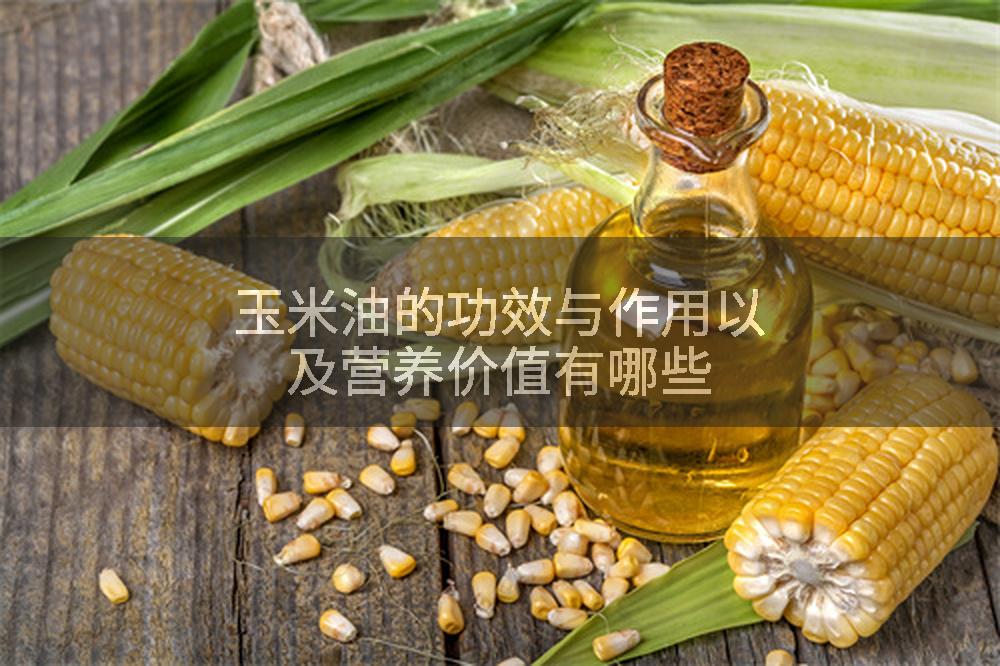 玉米油的功效与作用以及营养价值有哪些