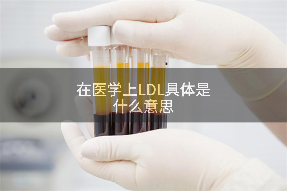 在医学上LDL具体是什么意思