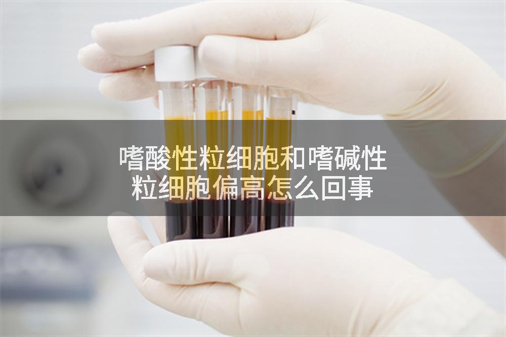 嗜酸性粒细胞和嗜碱性粒细胞偏高怎么回事
