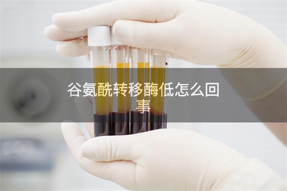 谷氨酰转移酶低怎么回事