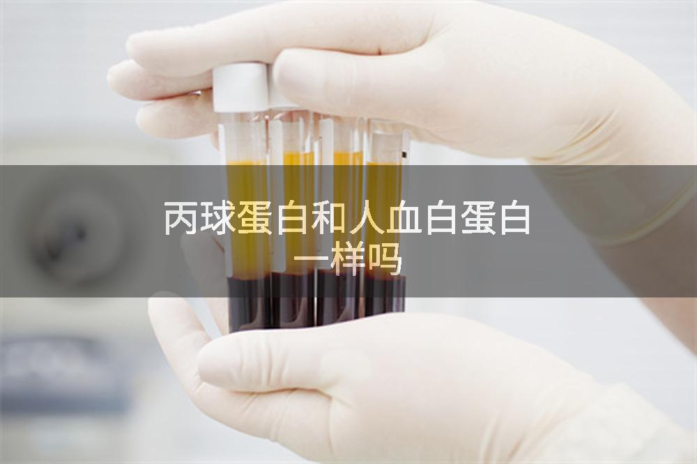丙球蛋白和人血白蛋白一样吗