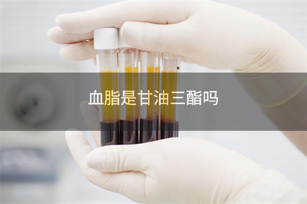 血脂是甘油三酯吗