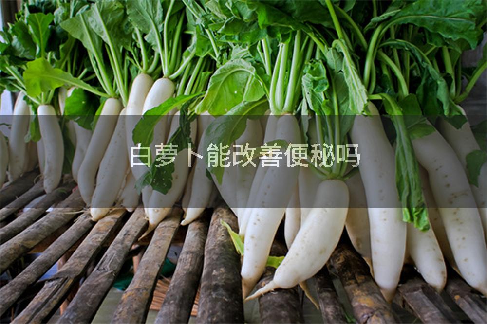 白萝卜能改善便秘吗