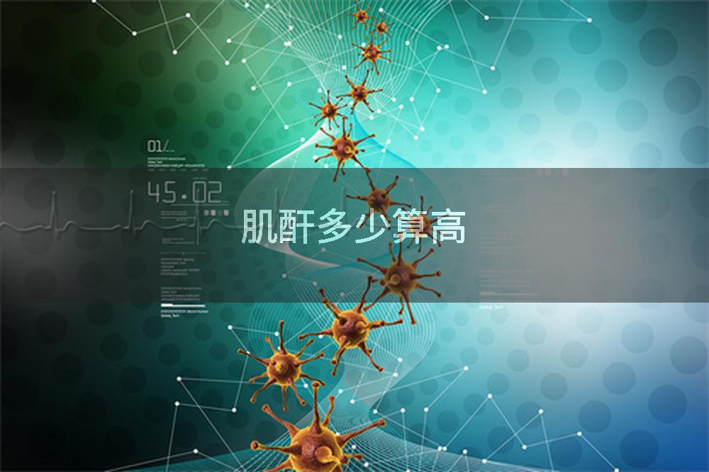 肌酐多少算高