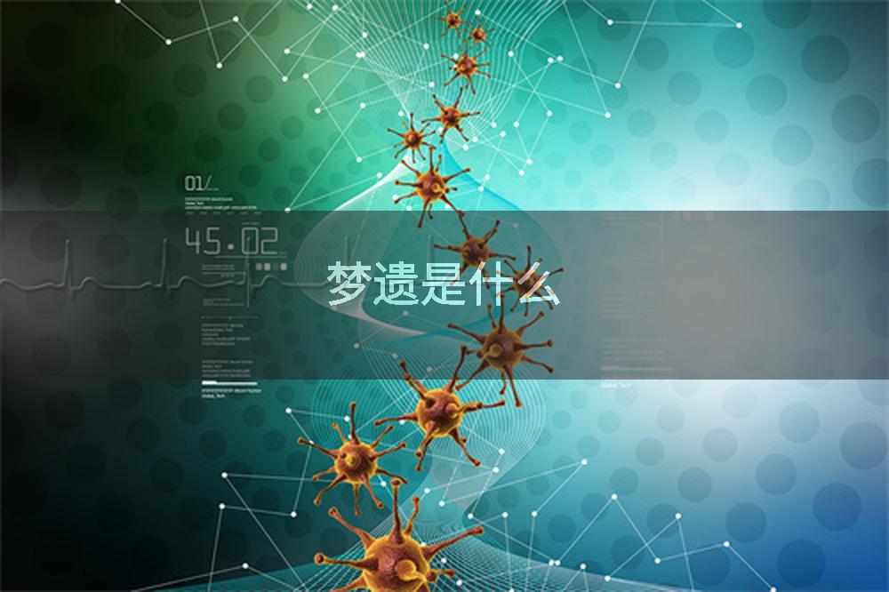 梦遗是什么