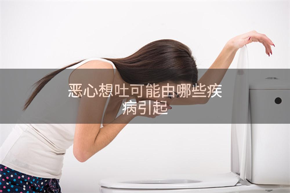 恶心想吐可能由哪些疾病引起