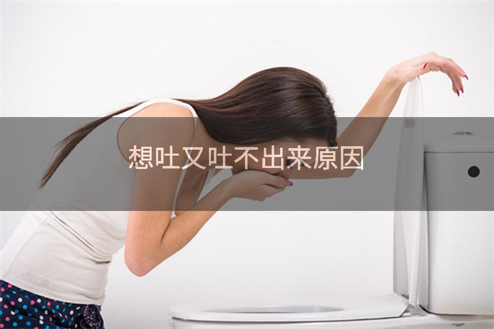 想吐又吐不出来原因