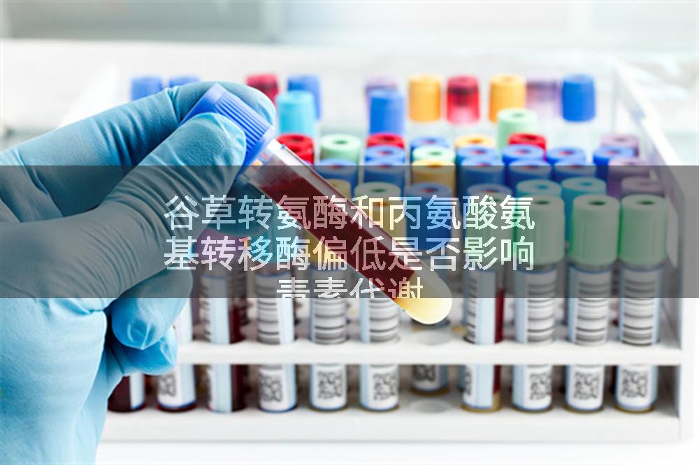 谷草转氨酶和丙氨酸氨基转移酶偏低是否影响毒素代谢