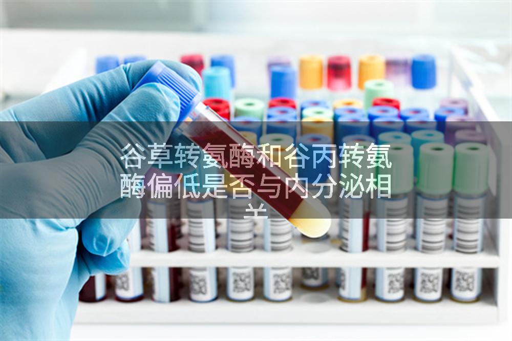 谷草转氨酶和谷丙转氨酶偏低是否与内分泌相关