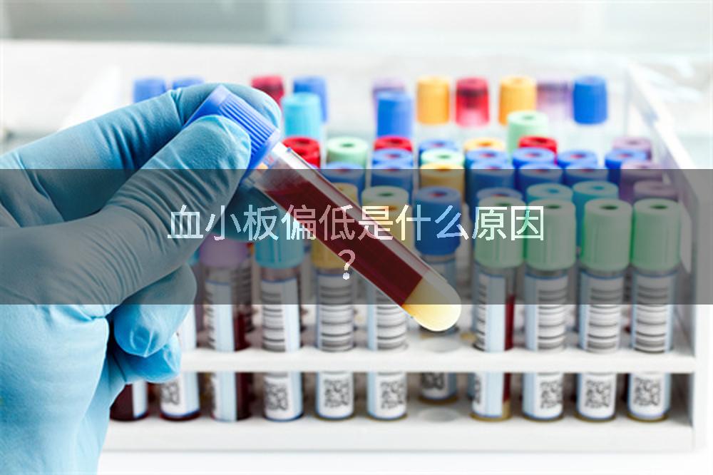 血小板偏低是什么原因？