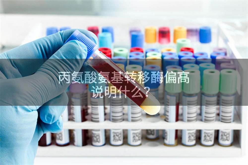 丙氨酸氨基转移酶偏高说明什么？