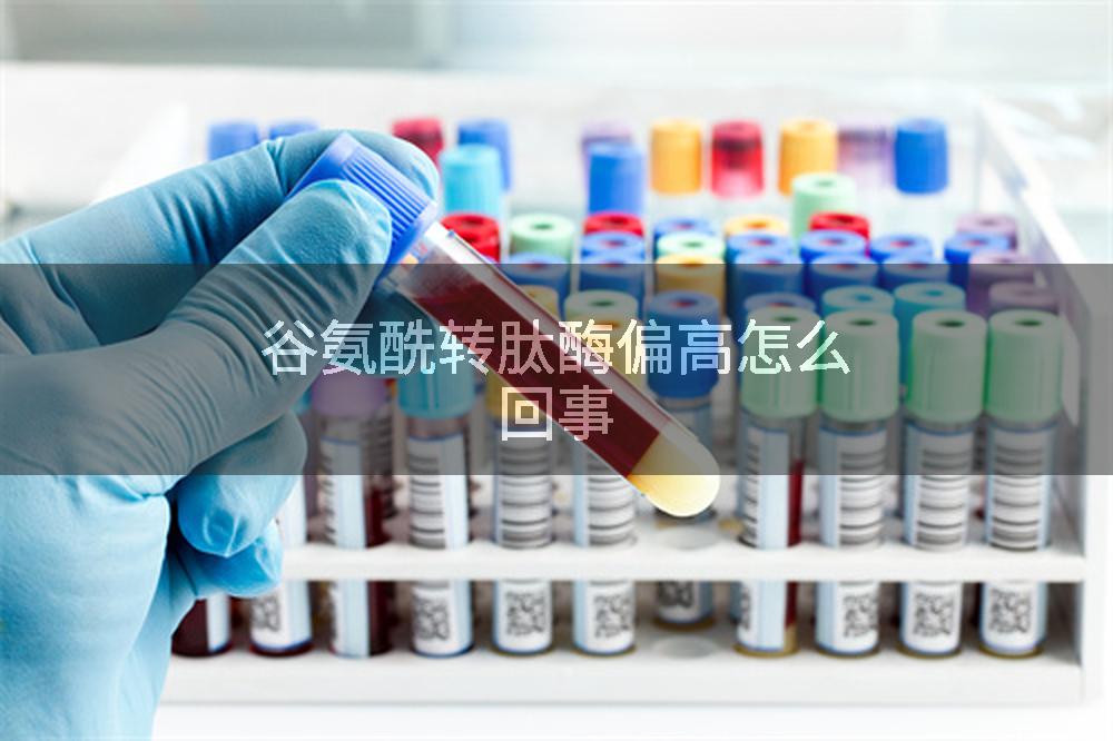 谷氨酰转肽酶偏高怎么回事