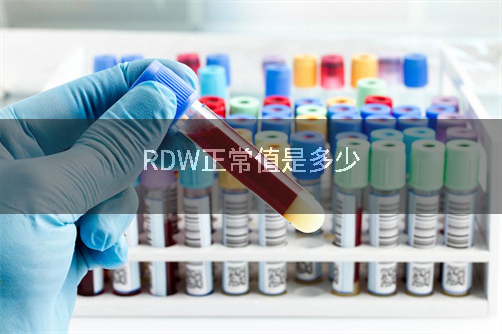 RDW正常值是多少