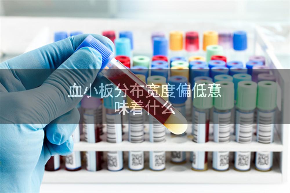 血小板分布宽度偏低意味着什么