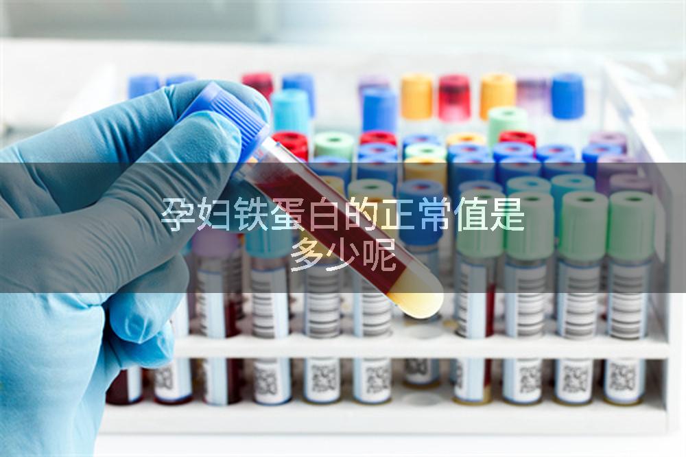 孕妇铁蛋白的正常值是多少呢