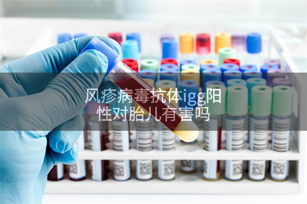 风疹病毒抗体igg阳性对胎儿有害吗