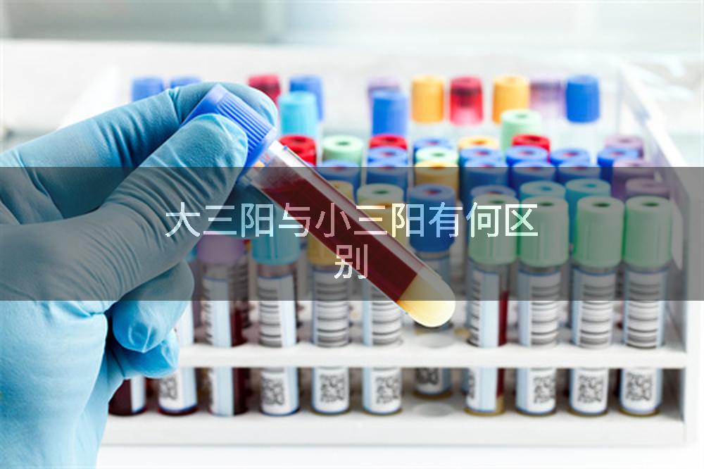 大三阳与小三阳有何区别