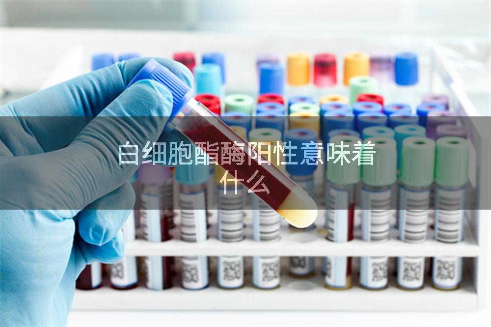 白细胞酯酶阳性意味着什么