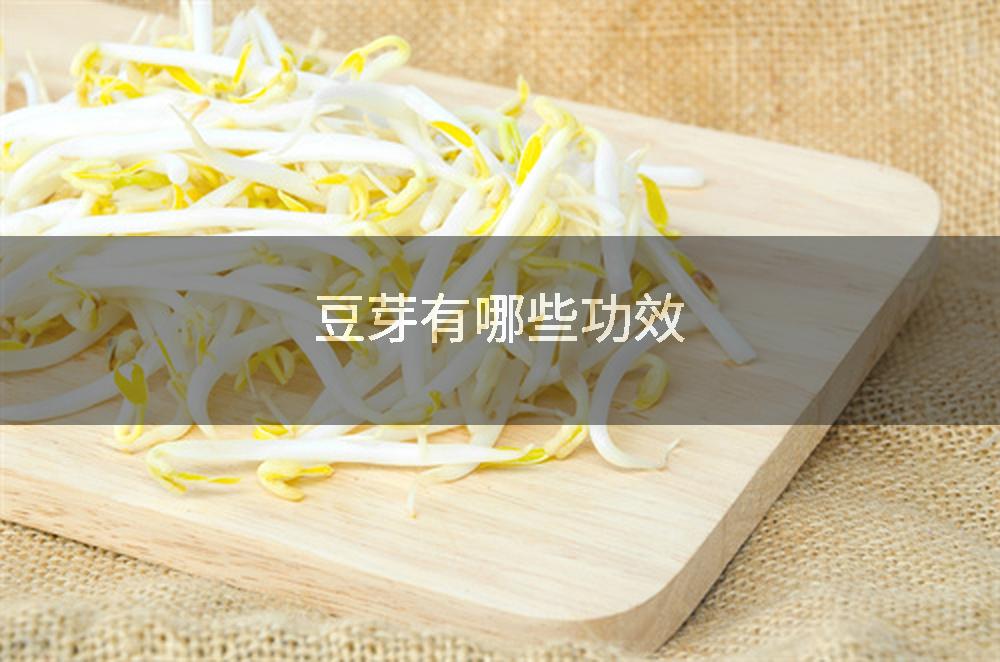豆芽有哪些功效