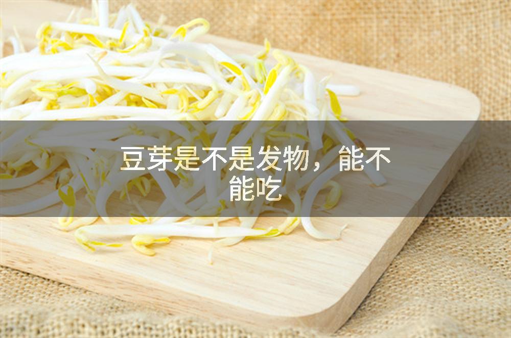 豆芽是不是发物，能不能吃