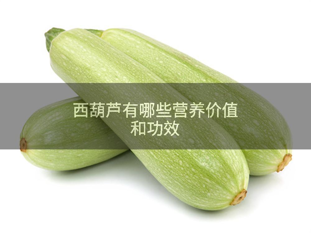 西葫芦有哪些营养价值和功效